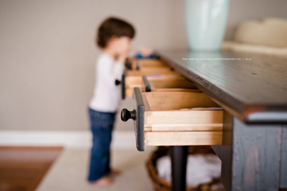 family room drawers-0001-Wm_WEB